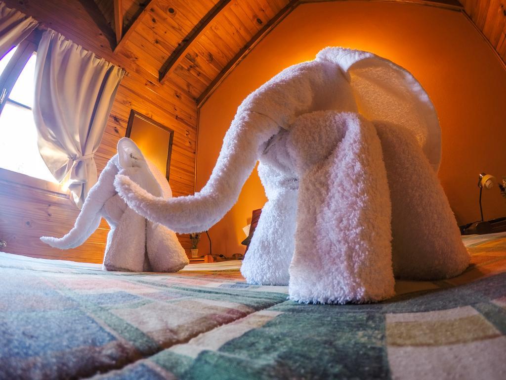 Cabanas De La Patagonia San Martin de los Andes Luaran gambar